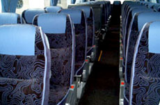 Buss